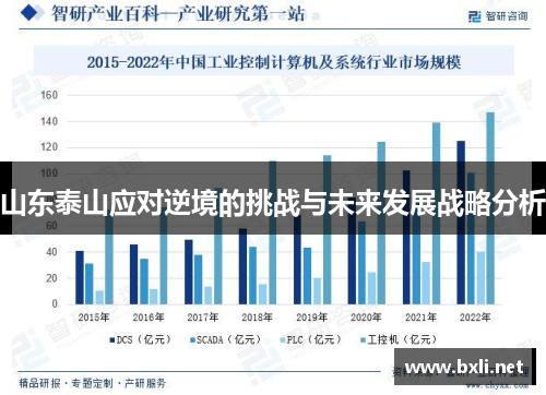 山东泰山应对逆境的挑战与未来发展战略分析