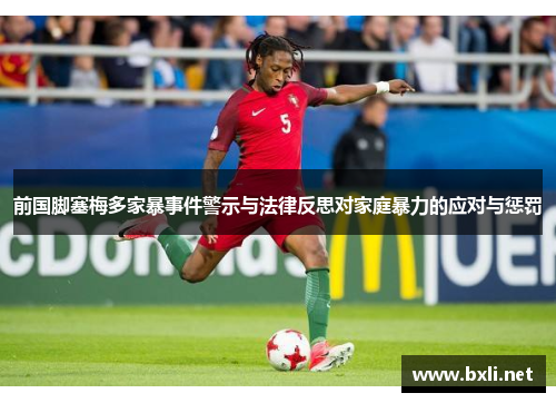 前国脚塞梅多家暴事件警示与法律反思对家庭暴力的应对与惩罚