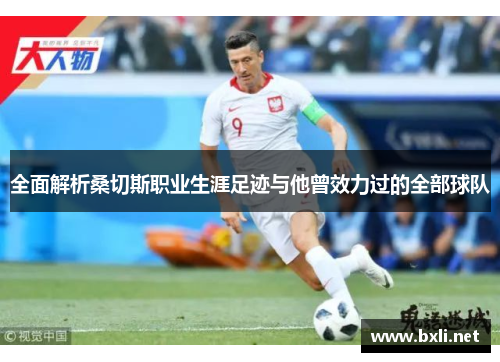全面解析桑切斯职业生涯足迹与他曾效力过的全部球队 全面解析桑切斯职业生涯足迹与他曾效力过的全部球队